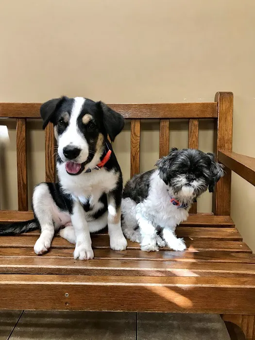 North Alabama Animal Hospital + Pet Resort 12