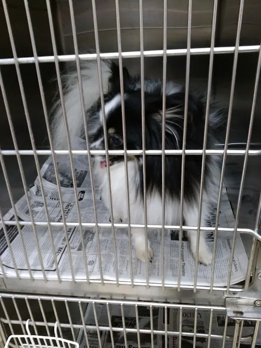 Linden Animal Clinic 12