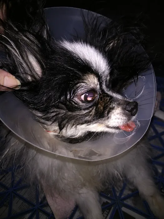 Linden Animal Clinic 12