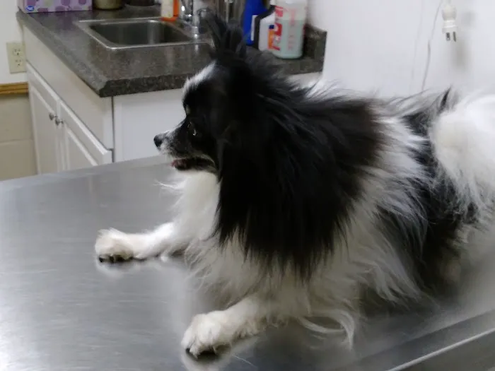 Linden Animal Clinic 12