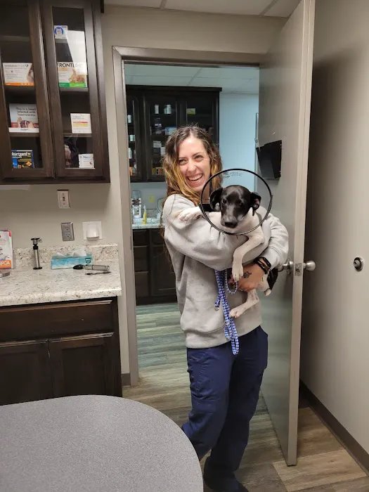Greystone Pet Hospital 12