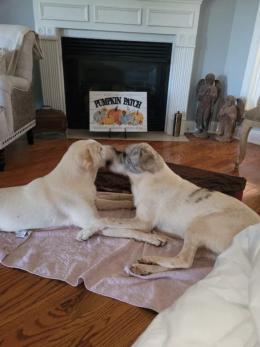 Greystone Pet Hospital 12