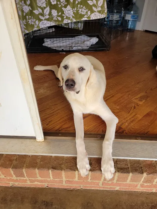 Greystone Pet Hospital 12