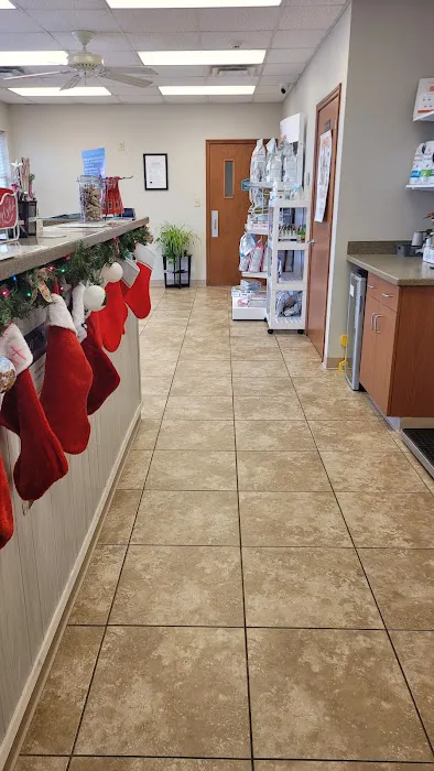 All Cats & Dogs Veterinary Hospital 12