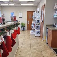 All Cats & Dogs Veterinary Hospital ico