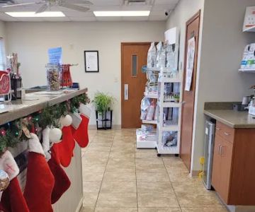 All Cats & Dogs Veterinary Hospital