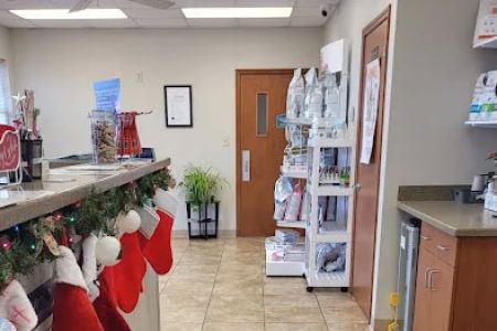 All Cats & Dogs Veterinary Hospital