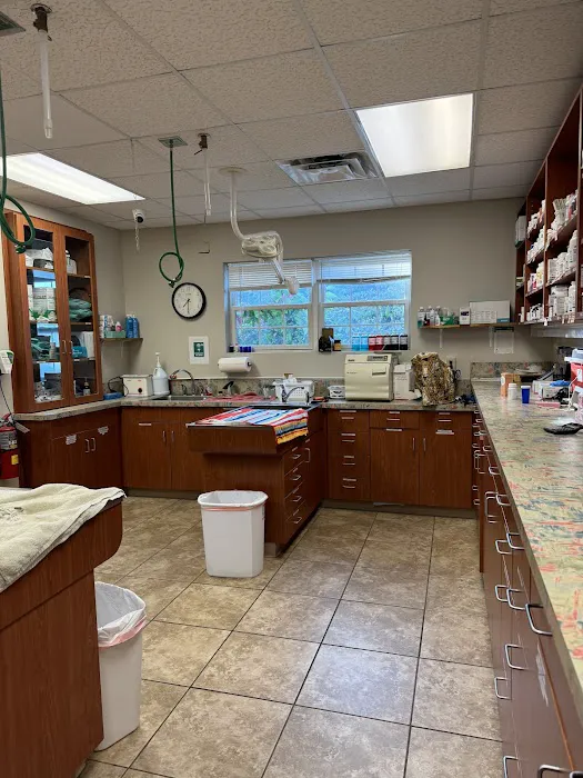 All Cats & Dogs Veterinary Hospital 12