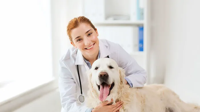 Bowling Green Veterinary Emergency Clinic 12