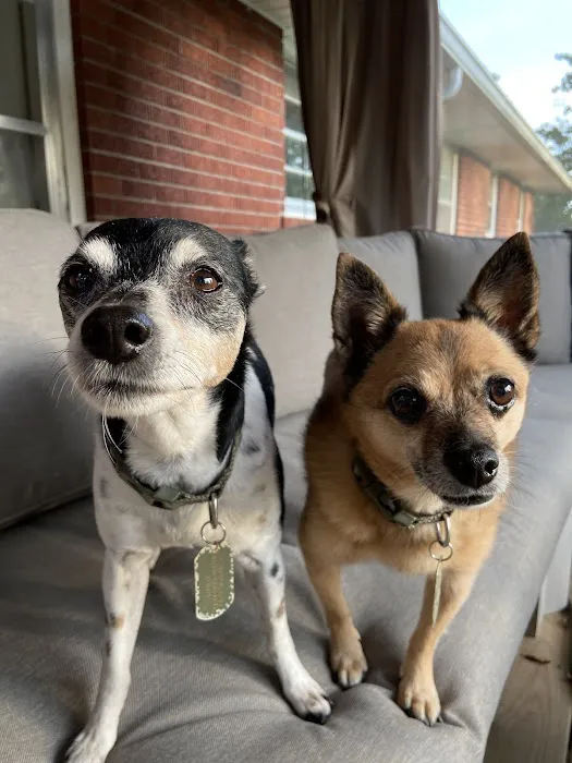 Alpine Pet Care Center 12