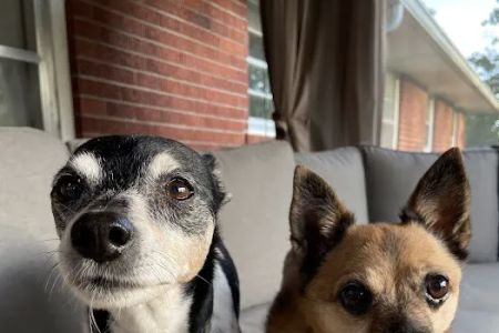 Alpine Pet Care Center