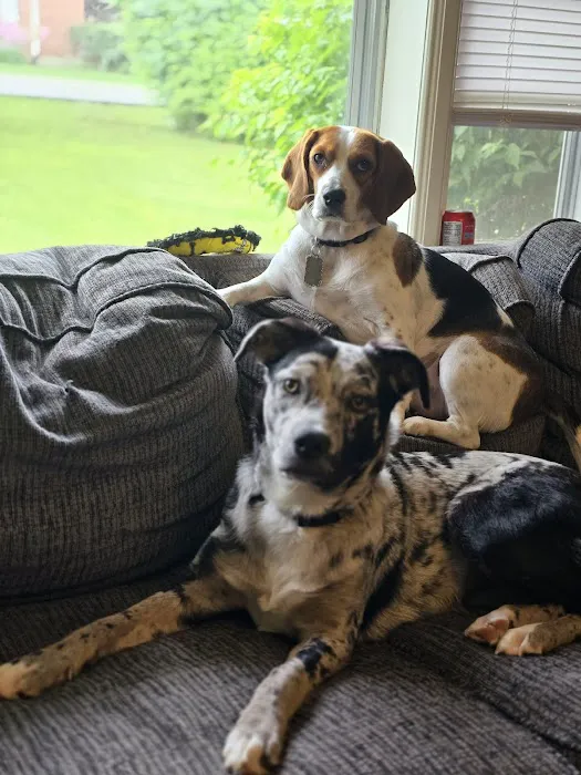 Alpine Pet Care Center 12