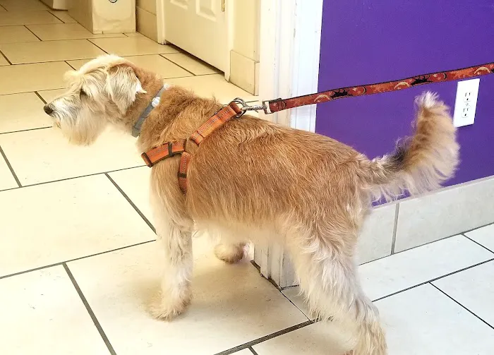 Veterinary Medical Center 1