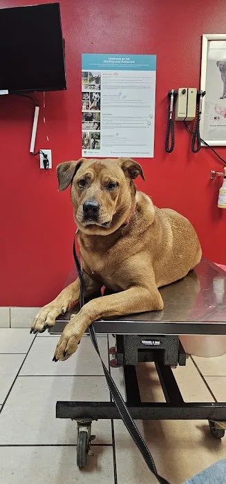 Veterinary Medical Center 10
