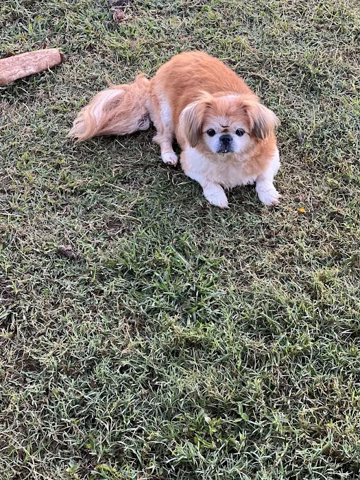Doyle Veterinary Center, PLLC 12