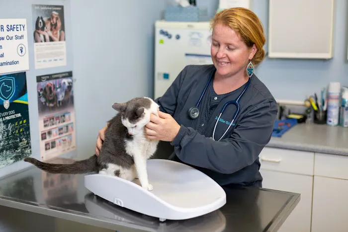 By Pass Animal Clinic 12