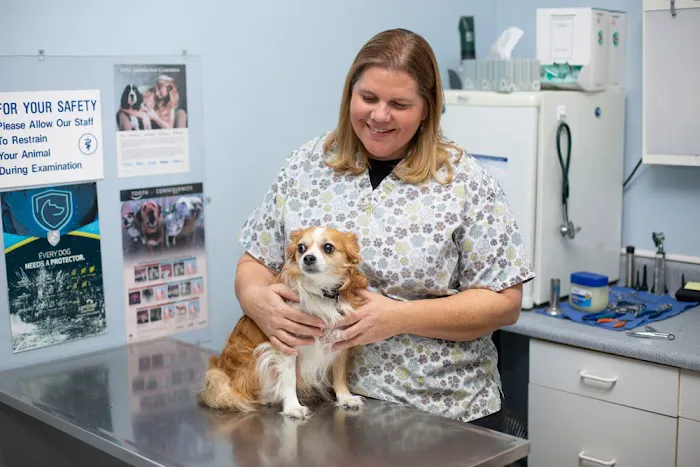 By Pass Animal Clinic 12