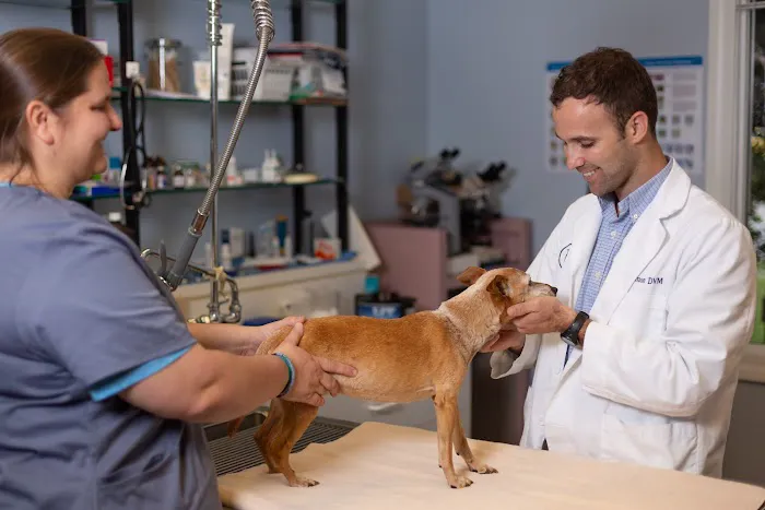 By Pass Animal Clinic 12
