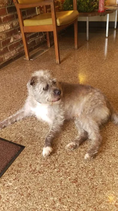 Simpson County Animal Hospital Llc 5
