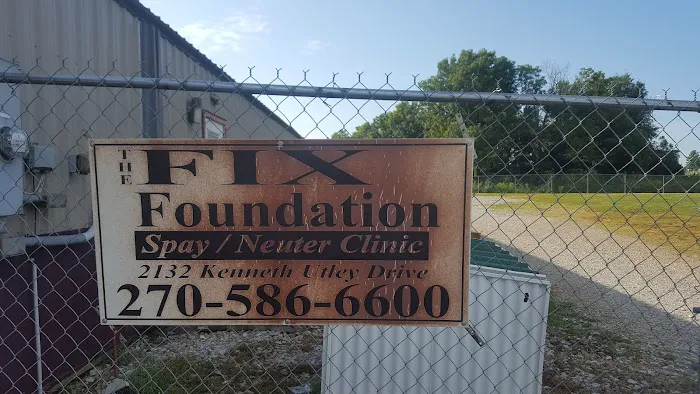Fix Foundation 12