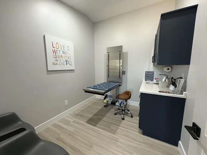 PAWSH Premier Animal Wellness & Surgery Hospital: Dr. Adrienne Price DVM 6