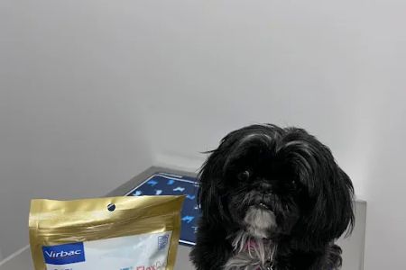 PAWSH Premier Animal Wellness & Surgery Hospital: Dr. Adrienne Price DVM