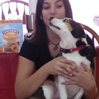Monticello Pet Clinic ico