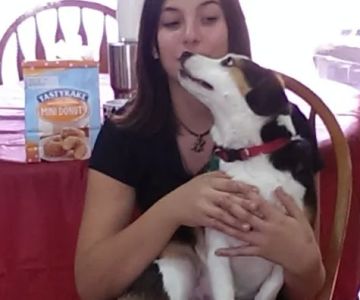 Monticello Pet Clinic