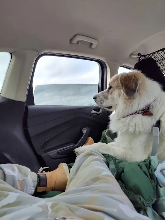 Tidewater Animal Hospital 9