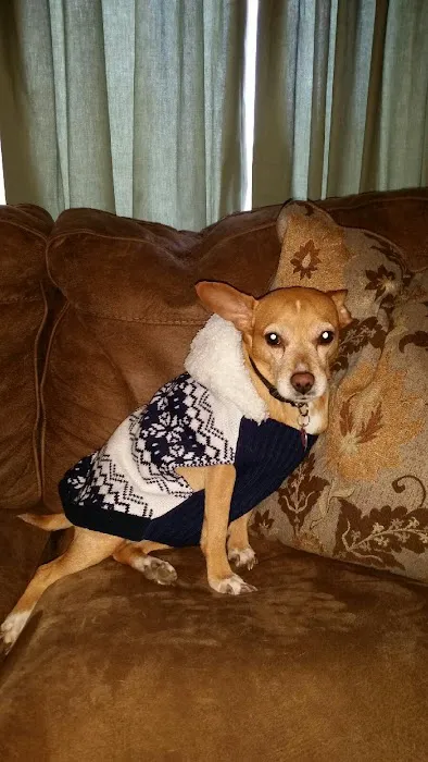Tidewater Animal Hospital 3
