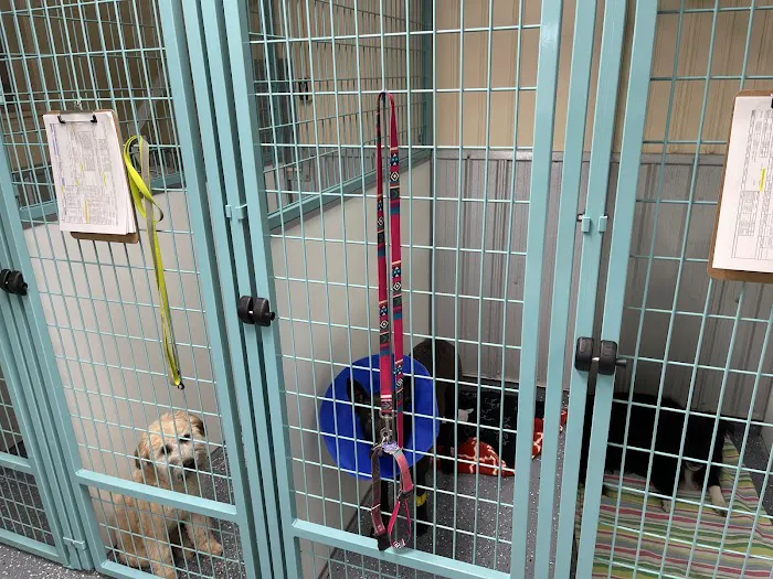 Companion Animal Hospital 3
