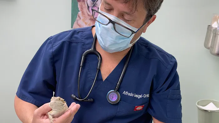 Companion Animal Hospital 8