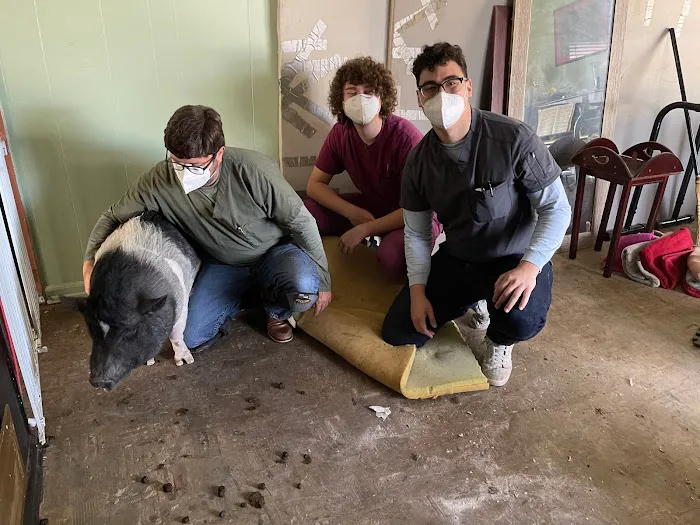 Companion Animal Hospital 10