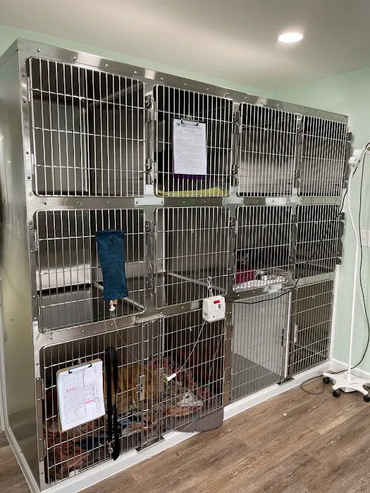 Companion Animal Hospital 9