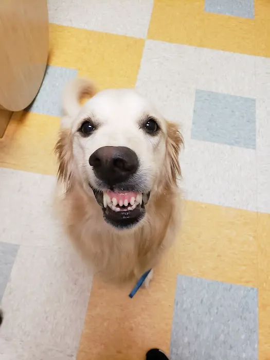 Circle C Animal Hospital 3