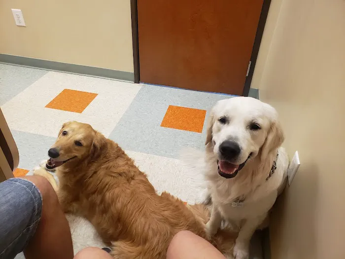 Circle C Animal Hospital 9