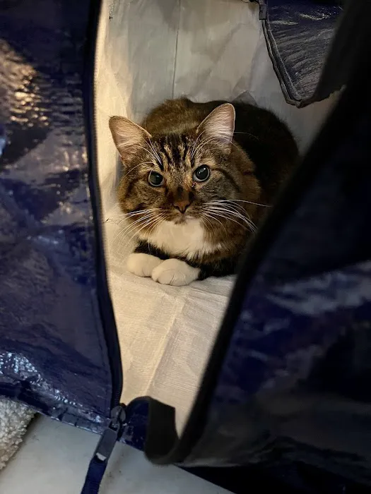 Oliver Animal Hospital 1