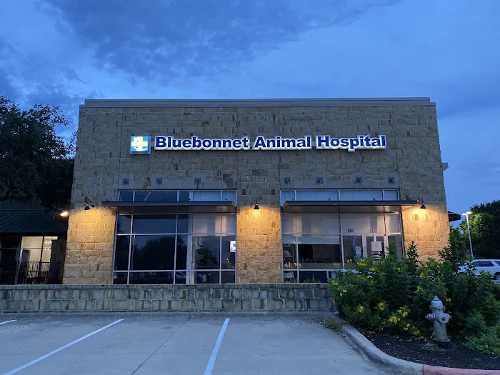 Bluebonnet Animal Hospital - Circle C 8