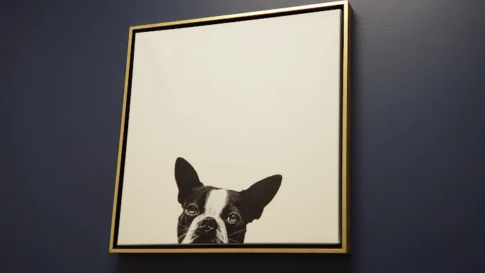 Bluebonnet Animal Hospital - Circle C 9
