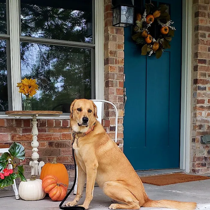 Bluebonnet Animal Hospital - Circle C 7