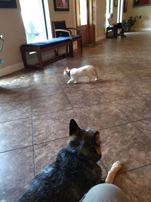 Highway 29 Veterinary Hospital 8