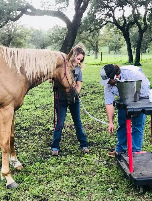 Pecan Grove Veterinary Services 6