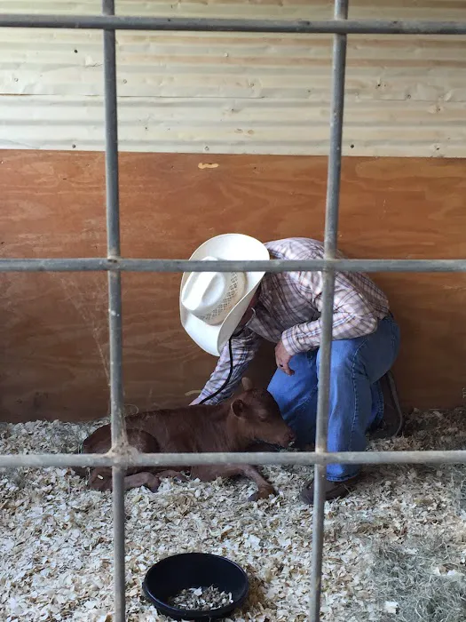 Pecan Grove Veterinary Services 7