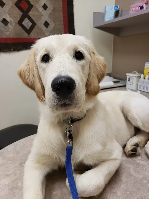 Comanche Trail Veterinary Center 5