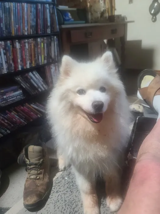 Comanche Trail Veterinary Center 9