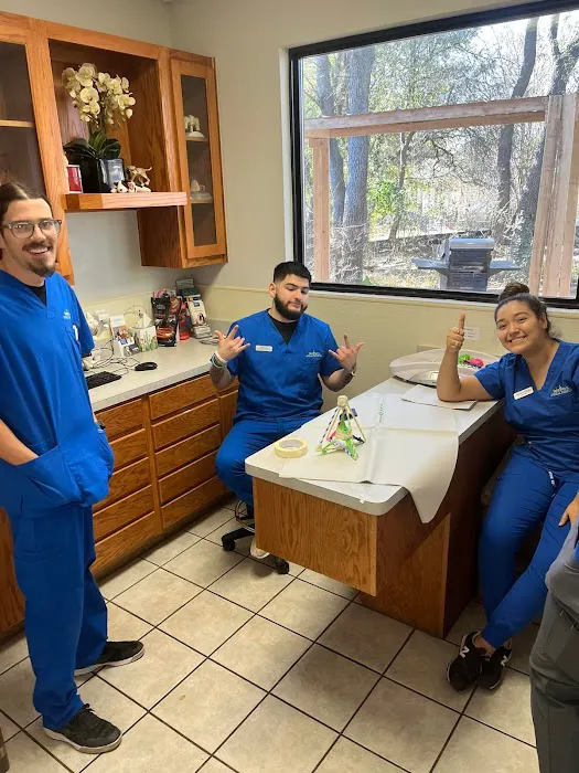 BEEVET Animal Hospital 9