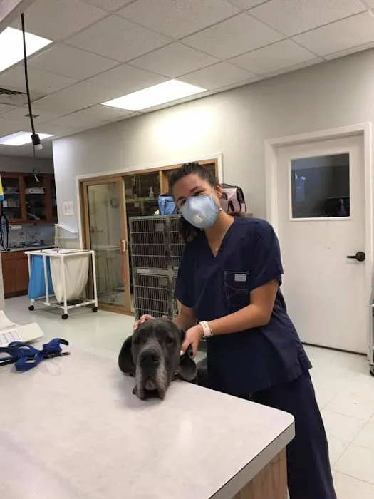 BEEVET Animal Hospital 7