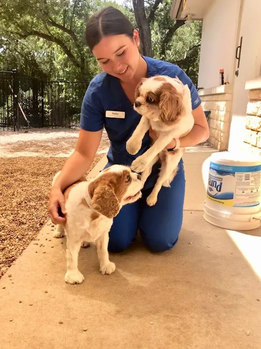 BEEVET Animal Hospital 2