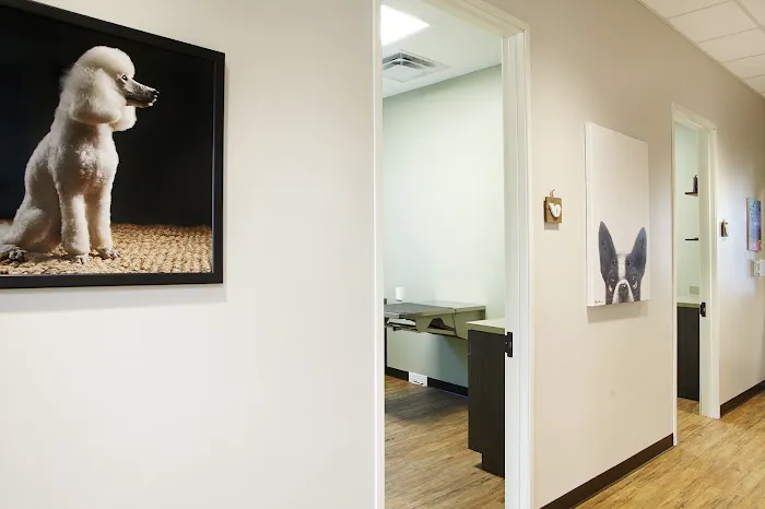 Whitestone Animal Hospital 7
