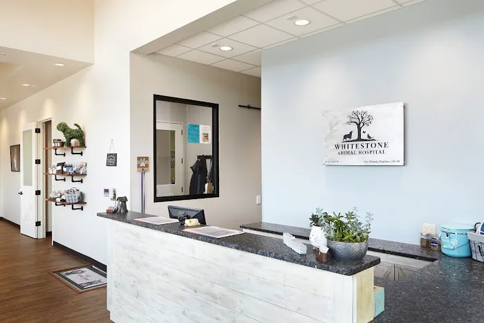 Whitestone Animal Hospital 5